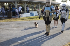 DogandStormTroopers